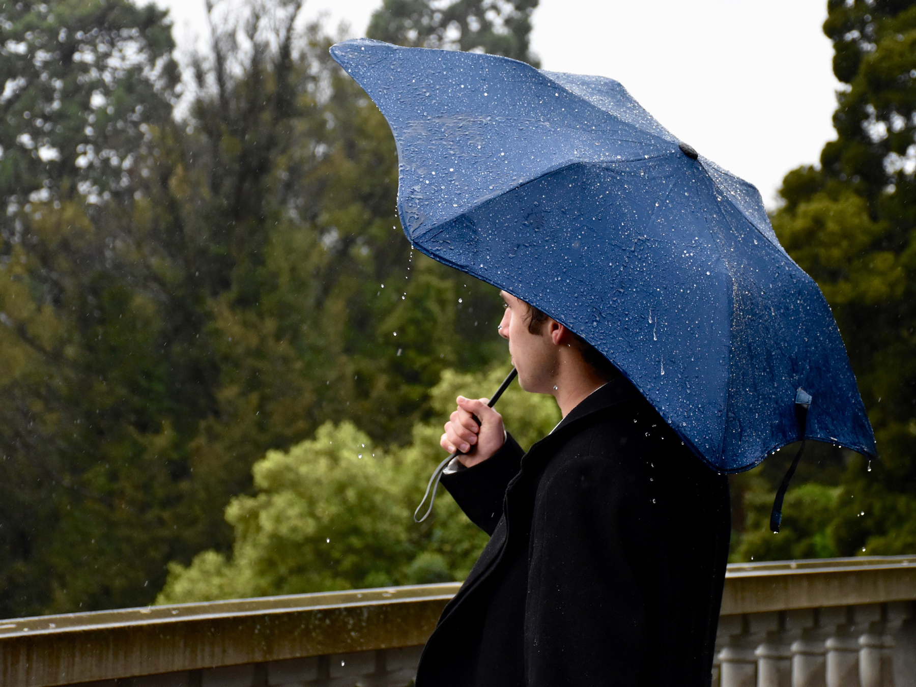 Kollektiv Pension Og Forsikring PFA